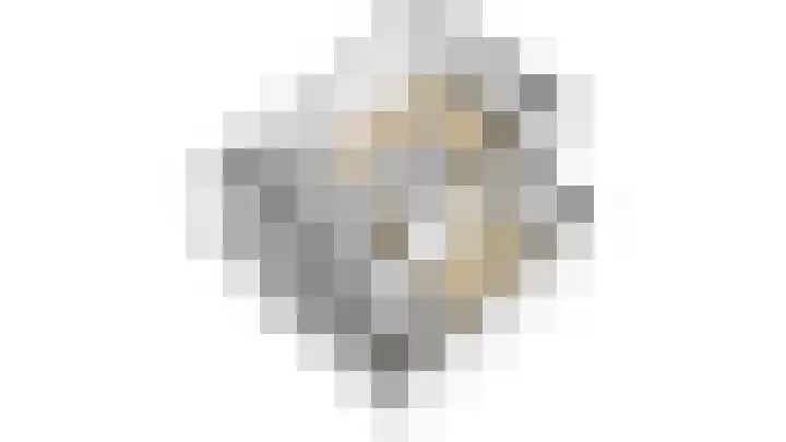 De Grote Haar 27 Muiderberg thumbnail 59