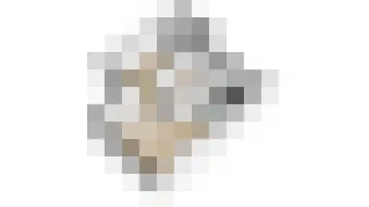 De Grote Haar 27 Muiderberg thumbnail 60