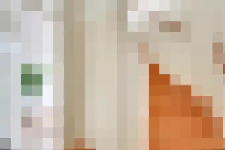 De Grote Haar 27 Muiderberg thumbnail 8