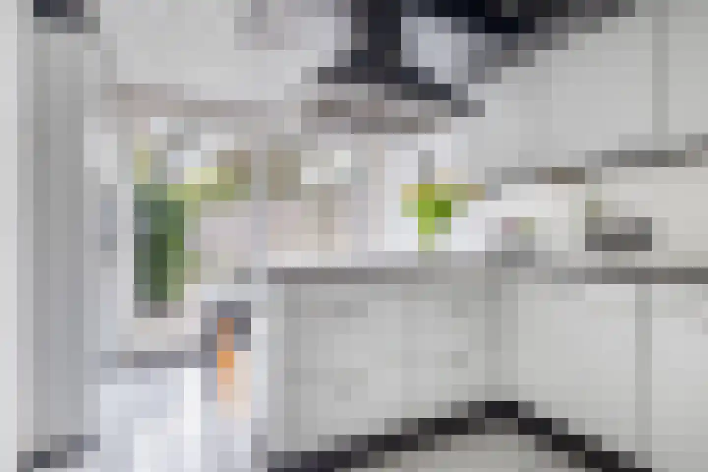 De Grote Haar 7 Muiderberg thumbnail 16