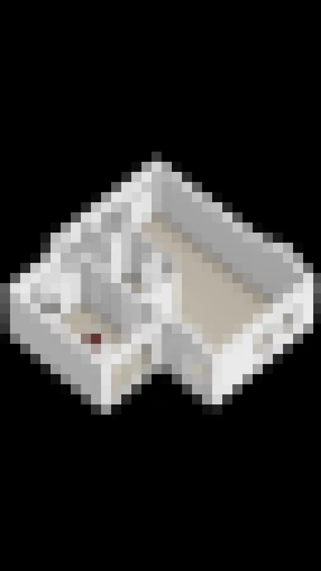 De Grote Haar 7 Muiderberg thumbnail 39