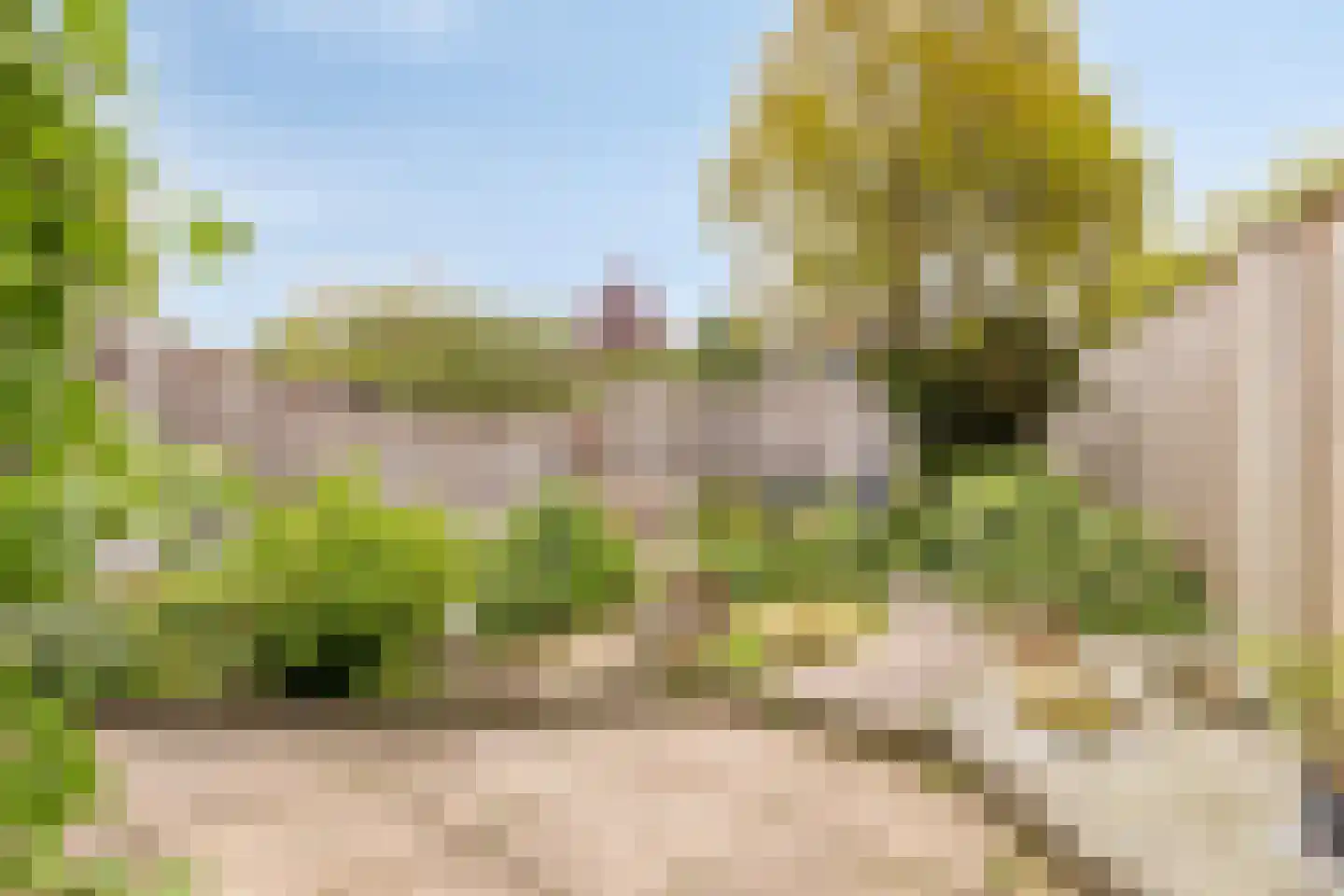 De Grote Haar 7 Muiderberg thumbnail 7