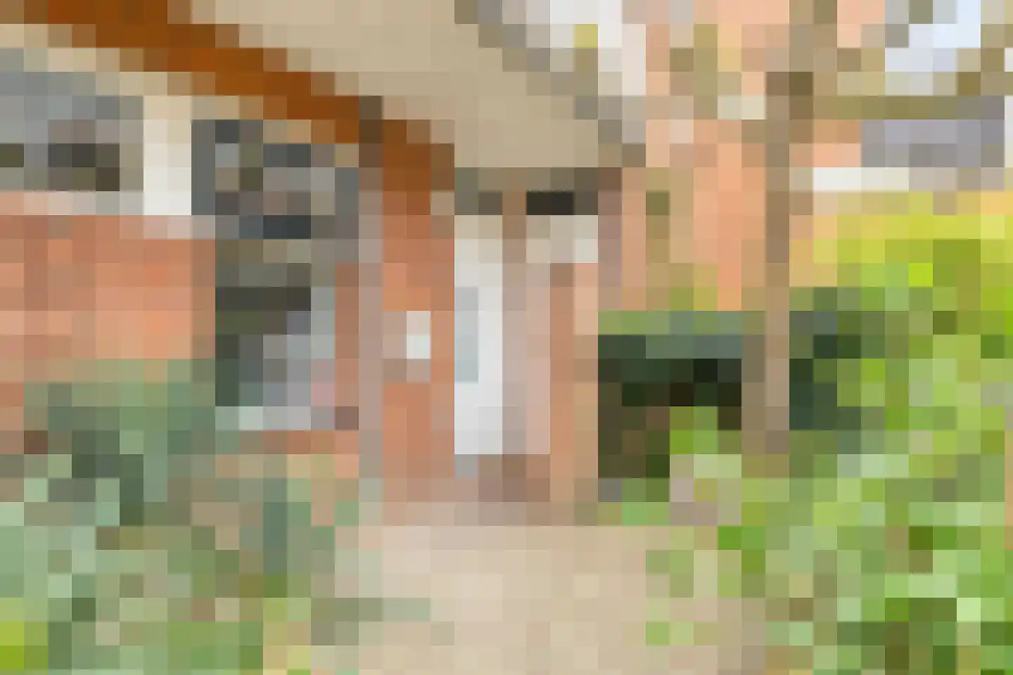 De Grote Haar 7 Muiderberg thumbnail 8