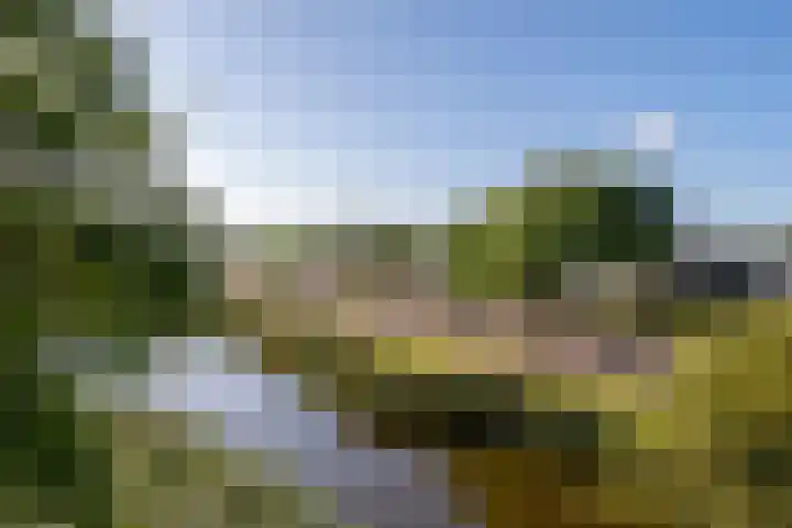 De Grote Pekken 502 Veenendaal thumbnail 7