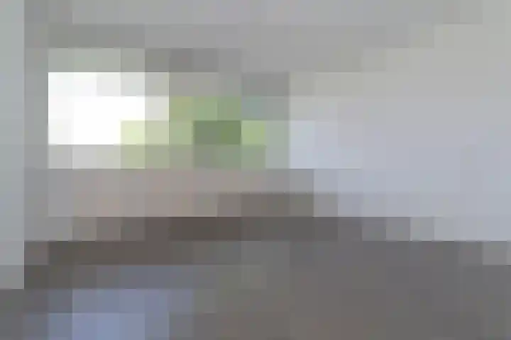 De Grote Pekken 568 Veenendaal thumbnail 10