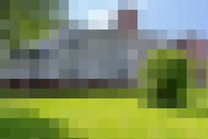 De Grote Pekken 568 Veenendaal thumbnail 26