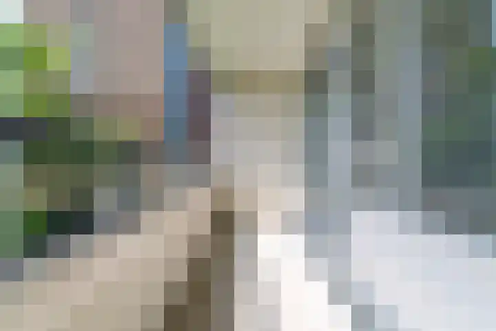 De Grote Pekken 568 Veenendaal thumbnail 5