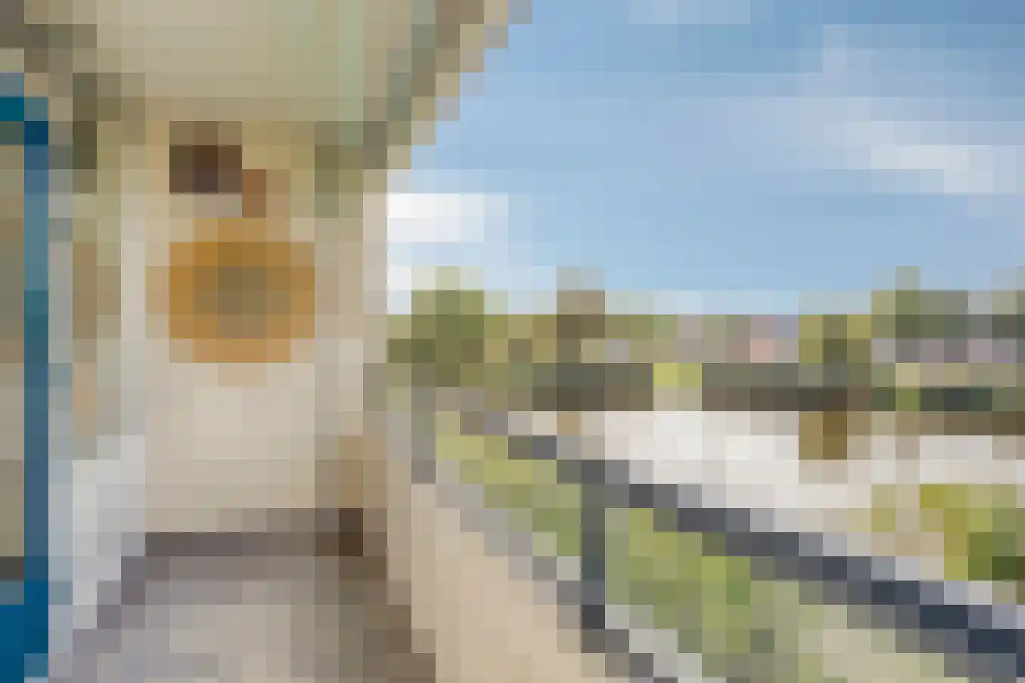 De Grote Pekken 574 Veenendaal thumbnail 21