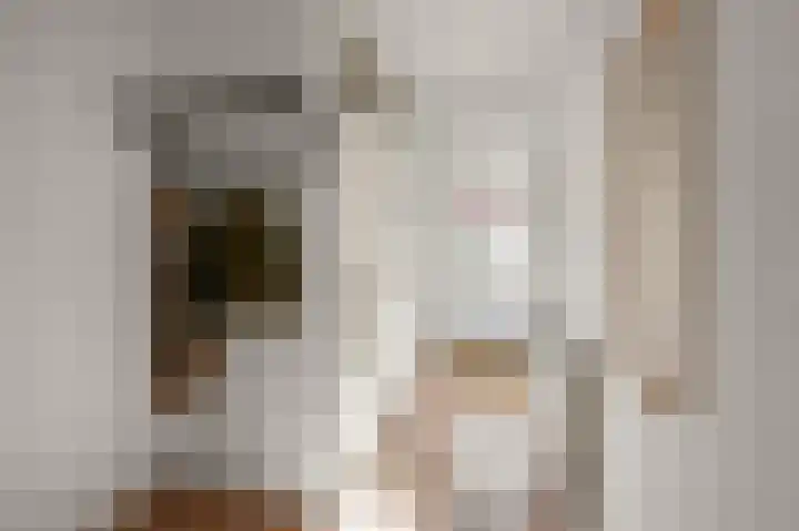 De Grote Weid 44 Uitgeest thumbnail 11