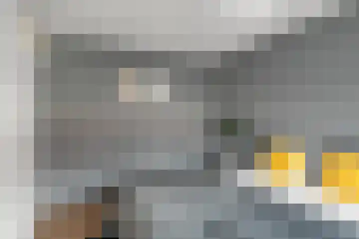 De Grote Weid 44 Uitgeest thumbnail 14