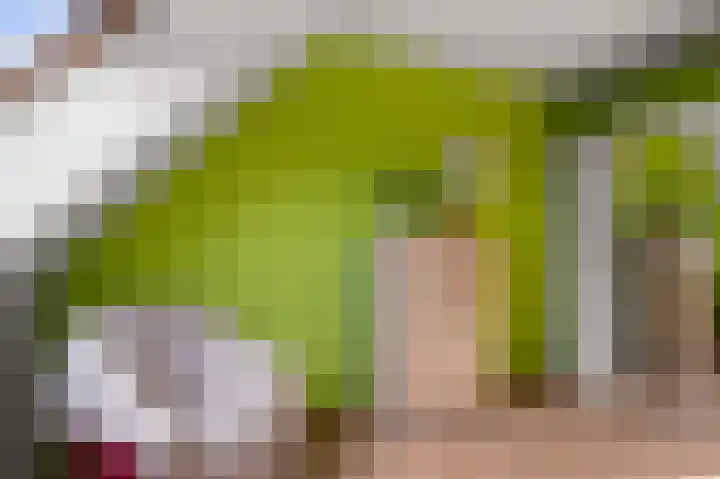 De Grote Weid 44 Uitgeest thumbnail 21