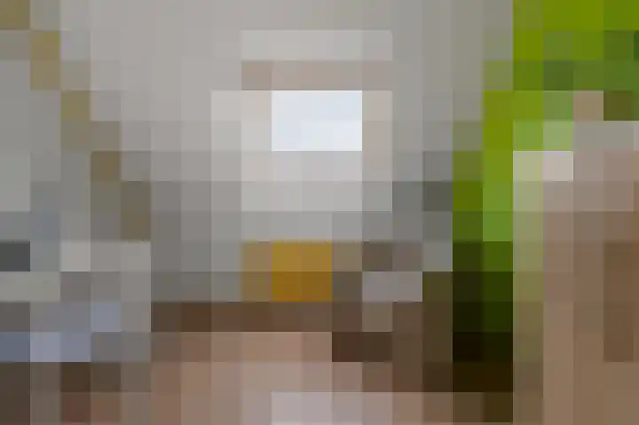De Grote Weid 44 Uitgeest thumbnail 22
