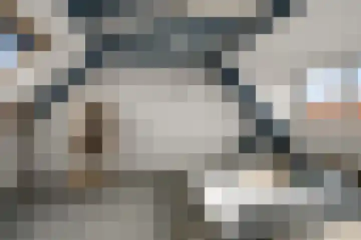 De Grote Weid 44 Uitgeest thumbnail 27