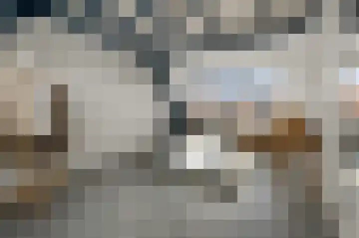 De Grote Weid 44 Uitgeest thumbnail 28