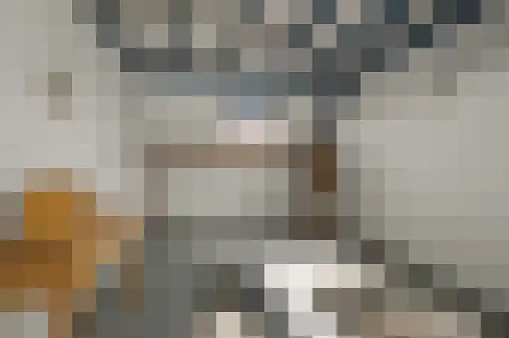 De Grote Weid 44 Uitgeest thumbnail 29