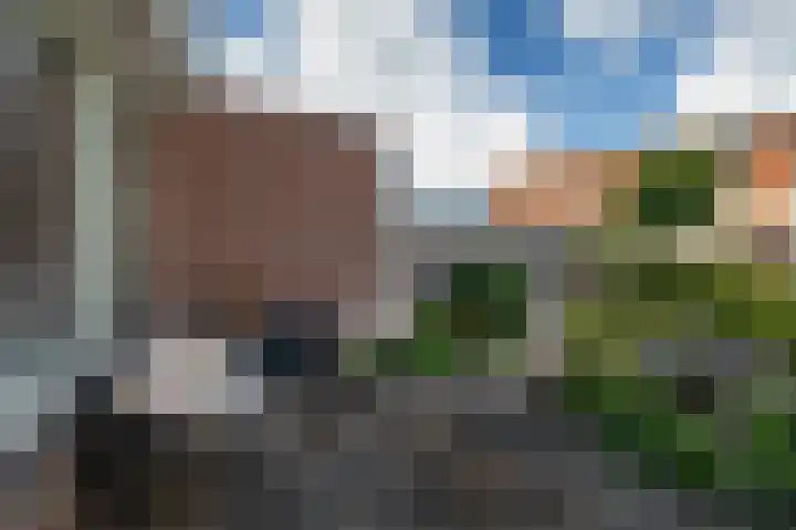 De Grote Weid 44 Uitgeest thumbnail 31