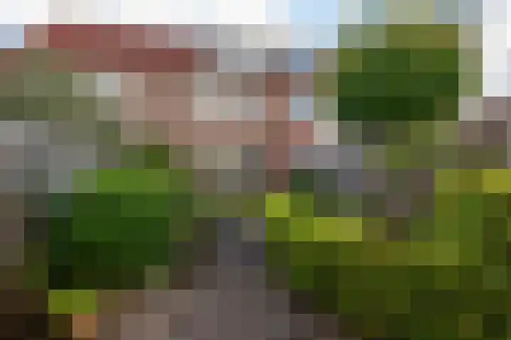 De Grote Weid 44 Uitgeest thumbnail 32