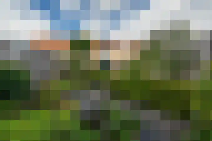 De Grote Weid 44 Uitgeest thumbnail 33