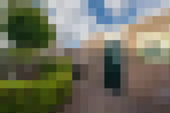 De Grote Weid 44 Uitgeest thumbnail 34