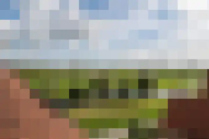 De Grote Weid 44 Uitgeest thumbnail 35