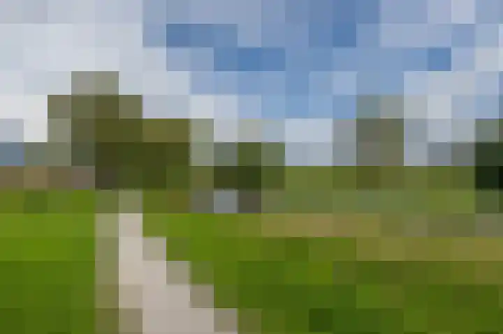 De Grote Weid 44 Uitgeest thumbnail 36