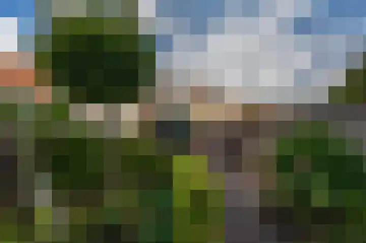De Grote Weid 44 Uitgeest thumbnail 4