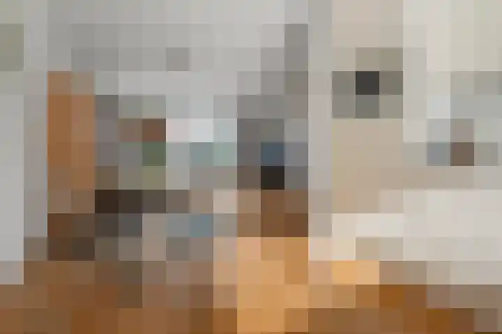 De Grote Weid 44 Uitgeest thumbnail 7