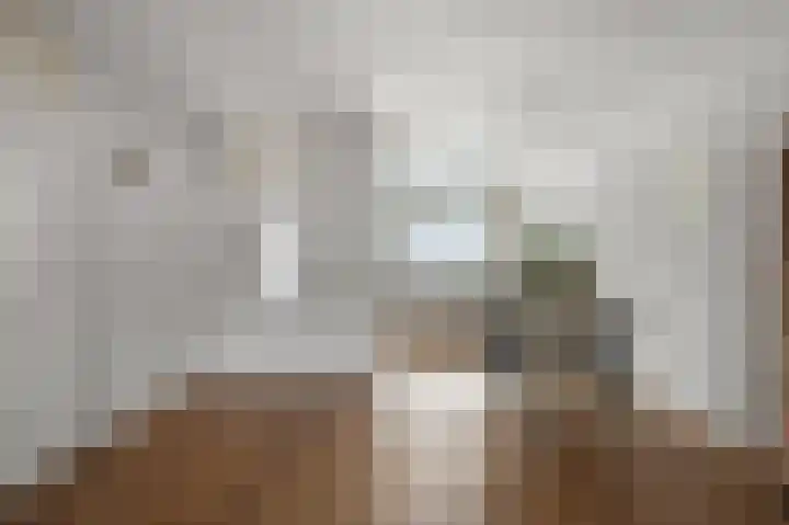 De Grote Weid 44 Uitgeest thumbnail 8