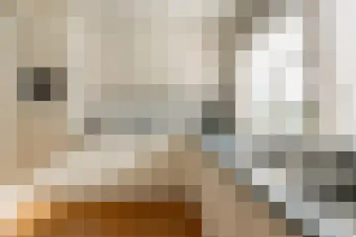 De Grote Weid 44 Uitgeest thumbnail 9