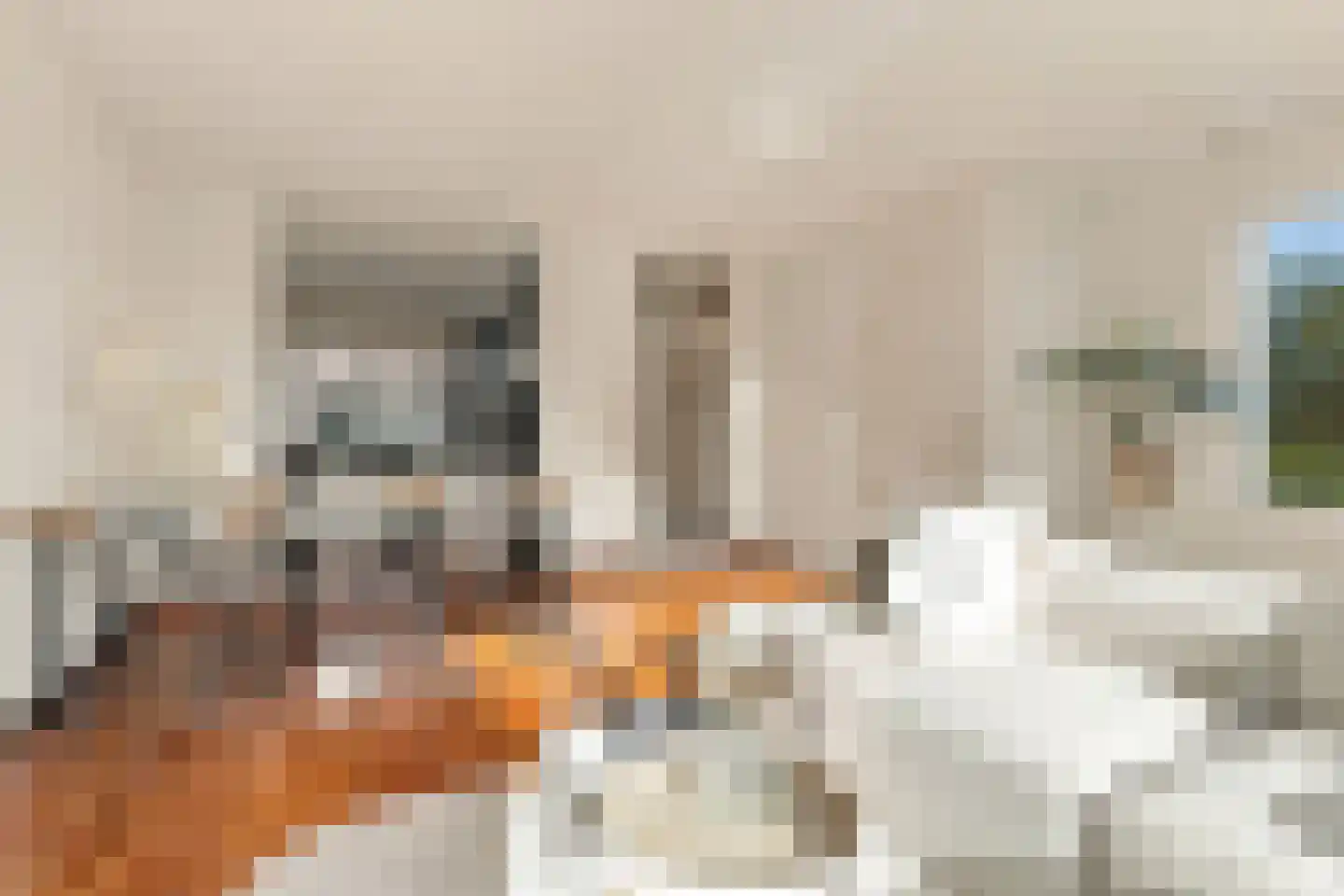 De Grote Weid 48 Uitgeest thumbnail 12
