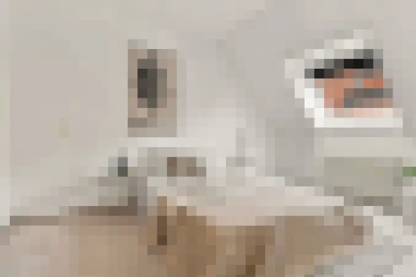 De Grote Weid 48 Uitgeest thumbnail 26