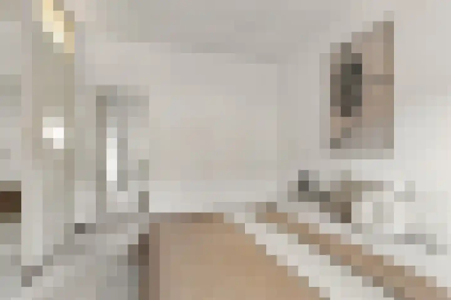 De Grote Weid 48 Uitgeest thumbnail 27