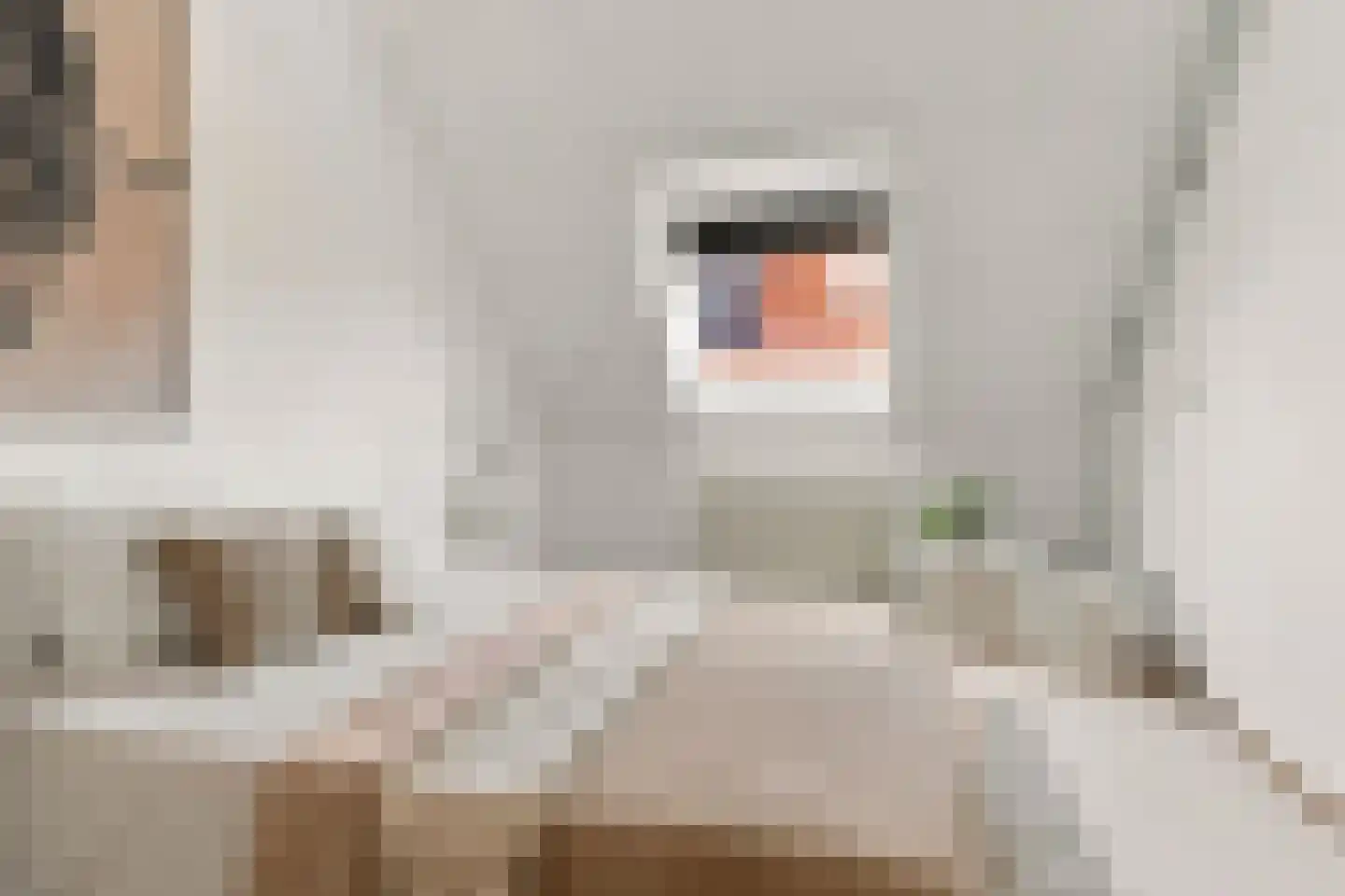 De Grote Weid 48 Uitgeest thumbnail 28