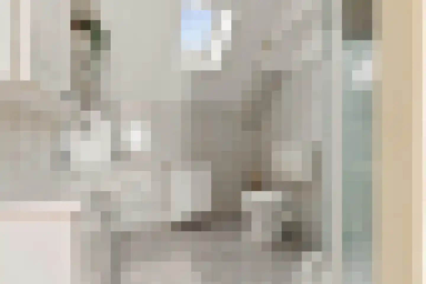 De Grote Weid 48 Uitgeest thumbnail 29