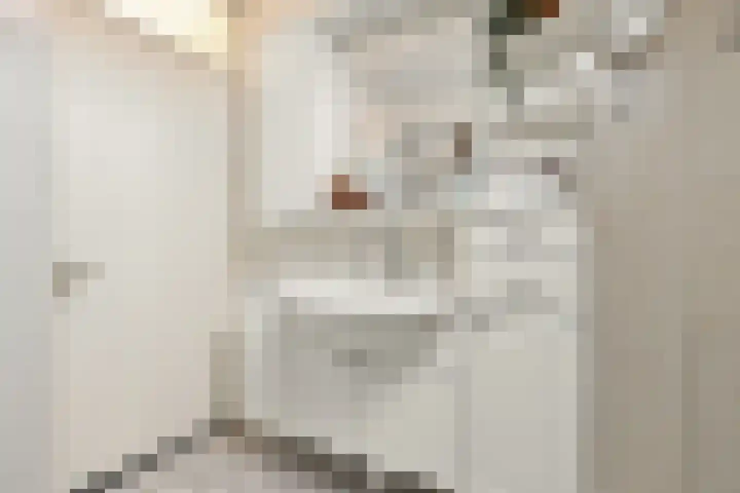 De Grote Weid 48 Uitgeest thumbnail 30