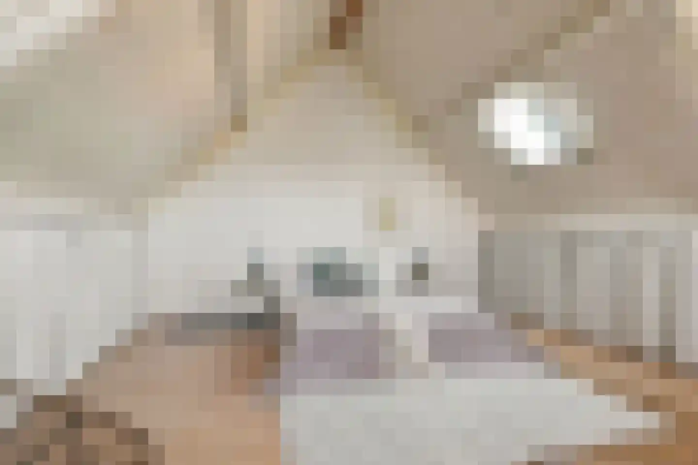 De Grote Weid 48 Uitgeest thumbnail 33