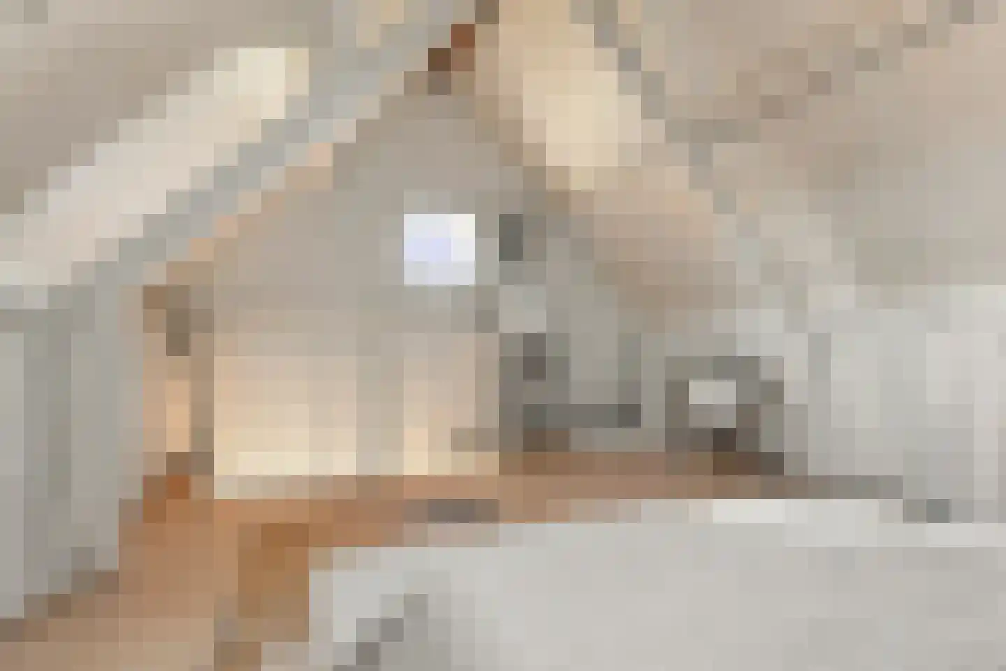 De Grote Weid 48 Uitgeest thumbnail 34