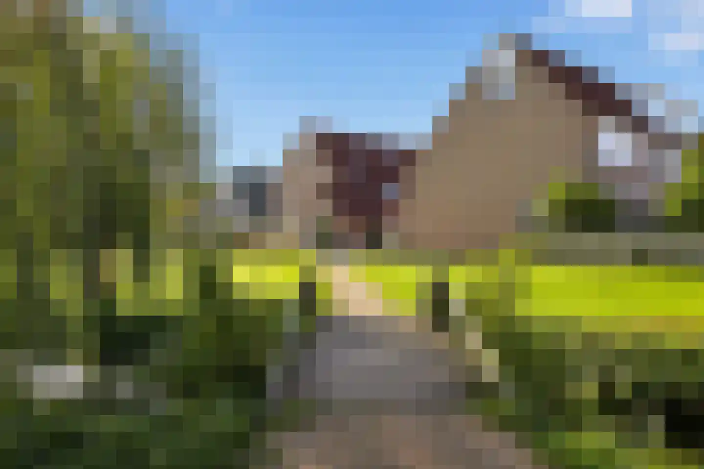 De Grote Weid 48 Uitgeest thumbnail 44