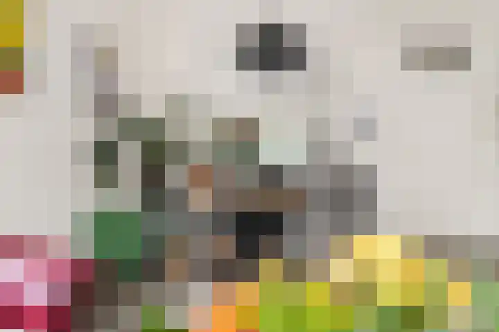 De Grote Weid 52 Uitgeest thumbnail 10