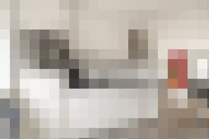 De Grote Weid 52 Uitgeest thumbnail 13