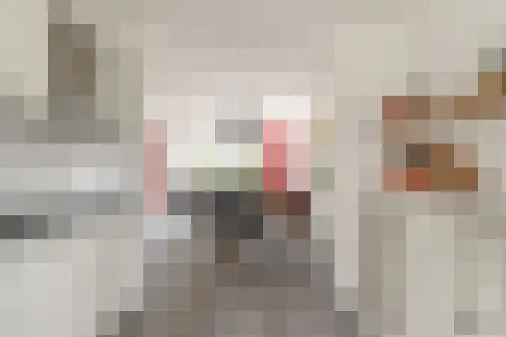 De Grote Weid 52 Uitgeest thumbnail 14