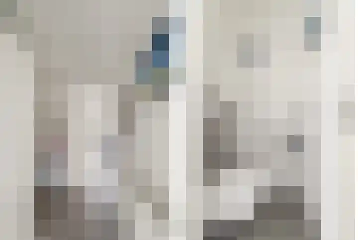 De Grote Weid 52 Uitgeest thumbnail 15