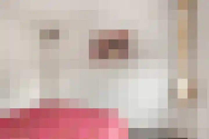 De Grote Weid 52 Uitgeest thumbnail 17