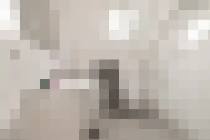 De Grote Weid 52 Uitgeest thumbnail 22