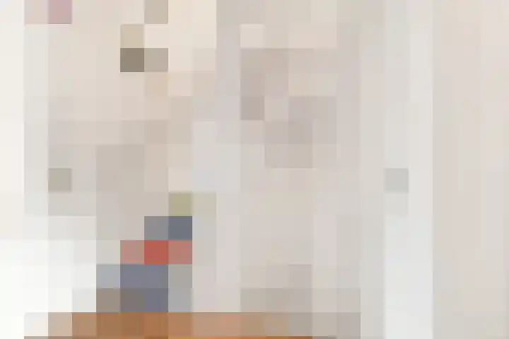 De Grote Weid 52 Uitgeest thumbnail 24