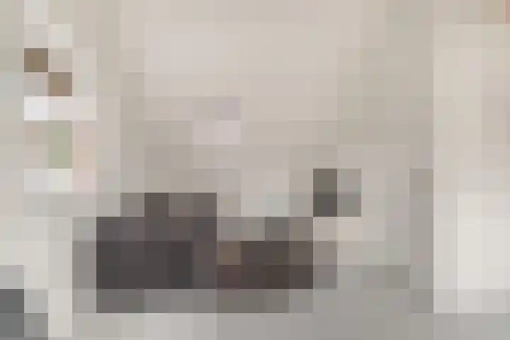 De Grote Weid 52 Uitgeest thumbnail 25