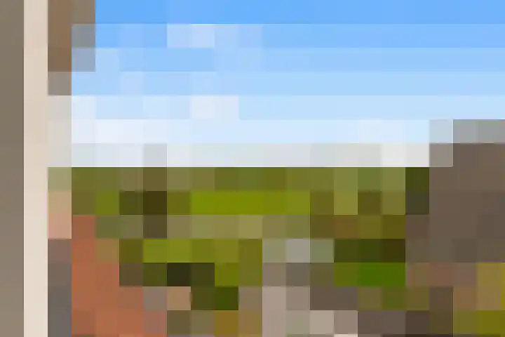 De Grote Weid 52 Uitgeest thumbnail 28