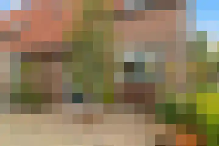 De Grote Weid 52 Uitgeest thumbnail 33