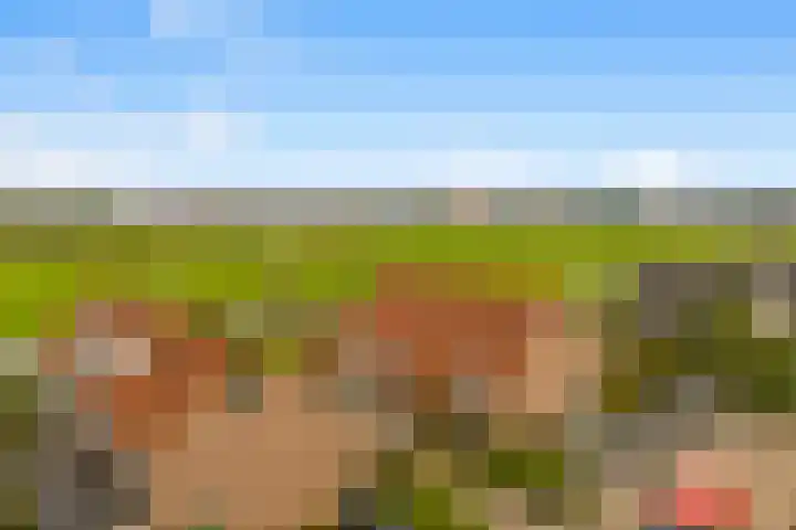 De Grote Weid 52 Uitgeest thumbnail 34