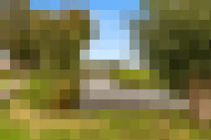 De Grote Weid 52 Uitgeest thumbnail 36